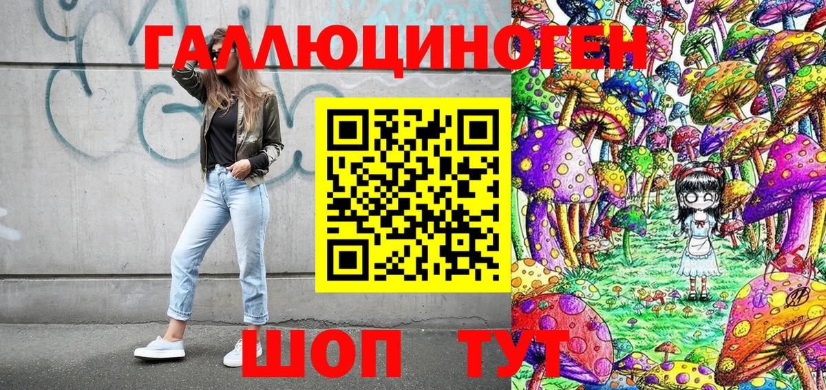 Галлюциногенные грибы Psilocybine cubensis Малоярославец